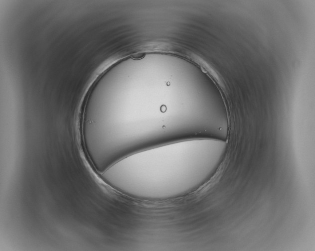 X0000111891434200907231438