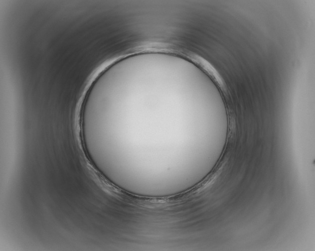 X0000111891435200907231438