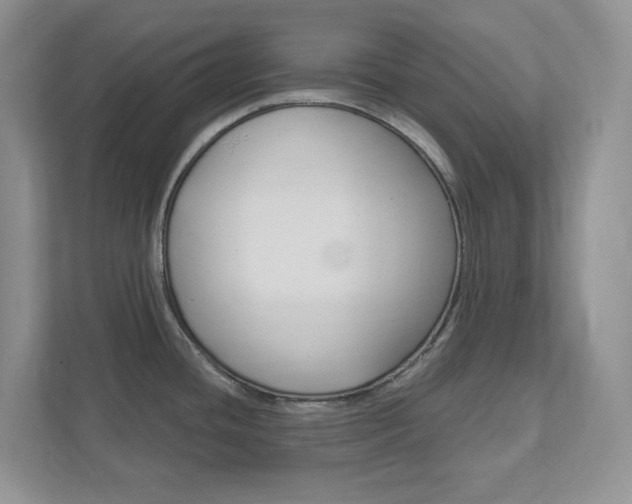 X0000111891436200907231438
