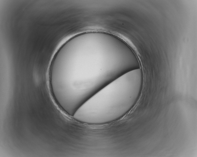 X0000111891440200907231438