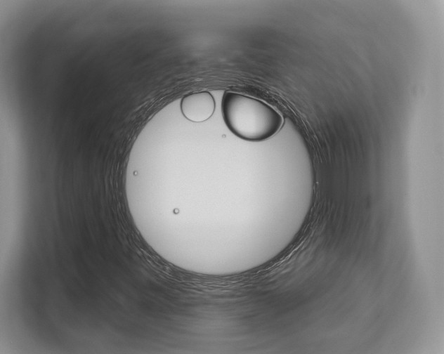 X0000111891443200907231438