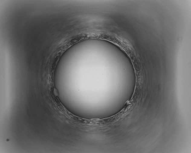 X0000111891445200907231438