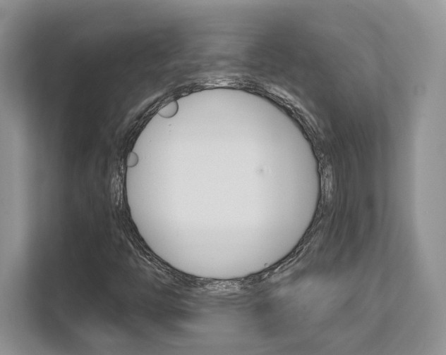 X0000111891446200907231438