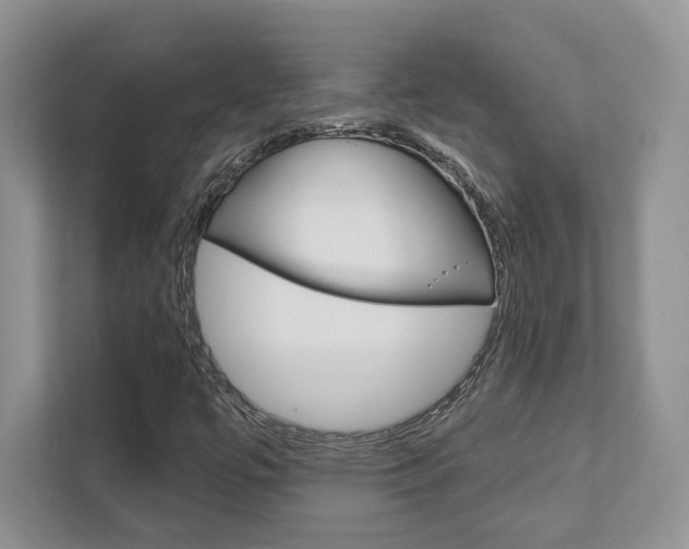 X0000111891447200907231438