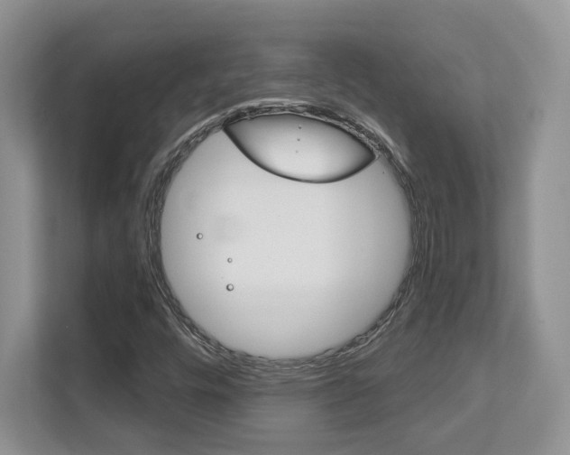 X0000111891448200907231438