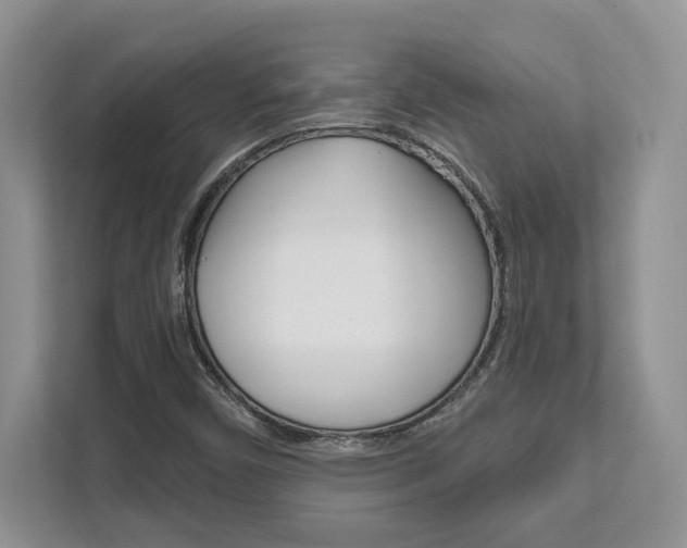 X0000111891450200907231437