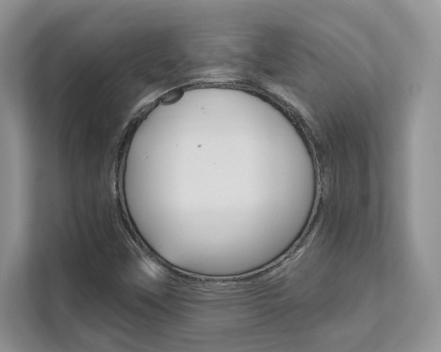 X0000111891451200907231437