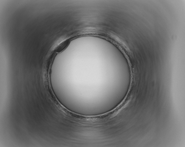 X0000111891453200907231437
