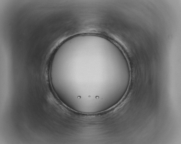 X0000111891455200907231437