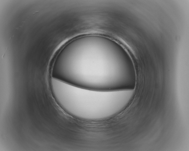 X0000111891460200907231437