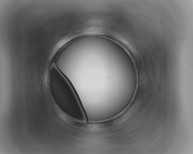 X0000111891461200907231437