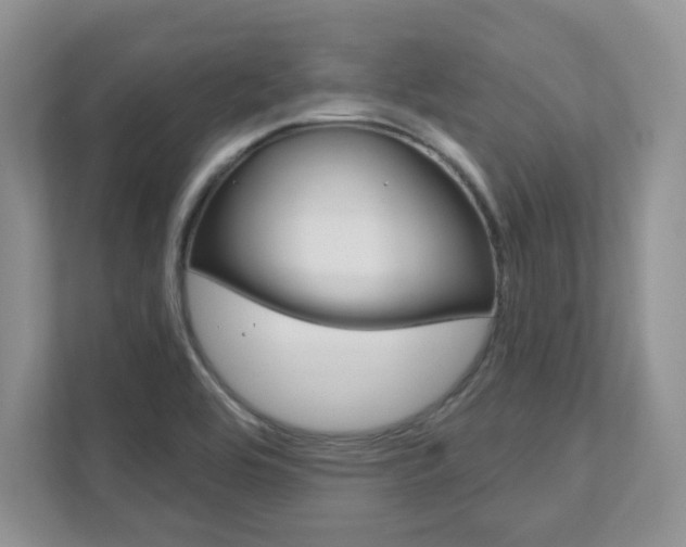 X0000111891464200907231437