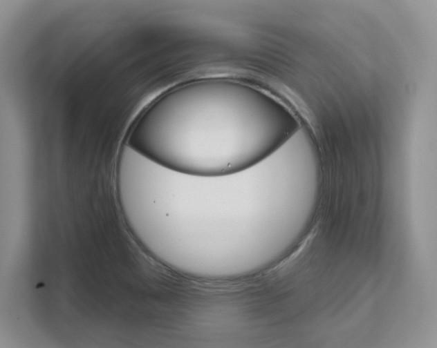 X0000111891465200907231437