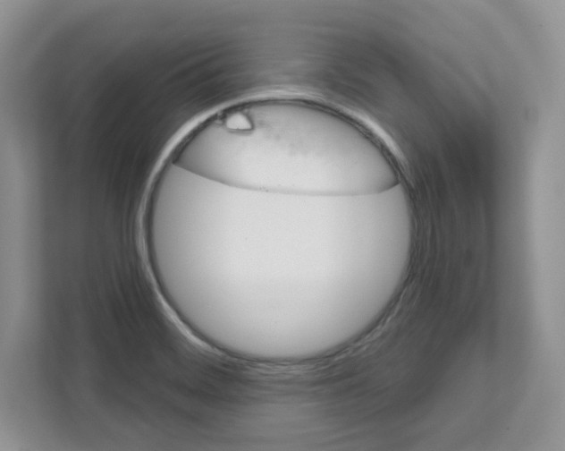 X0000111891468200907231437