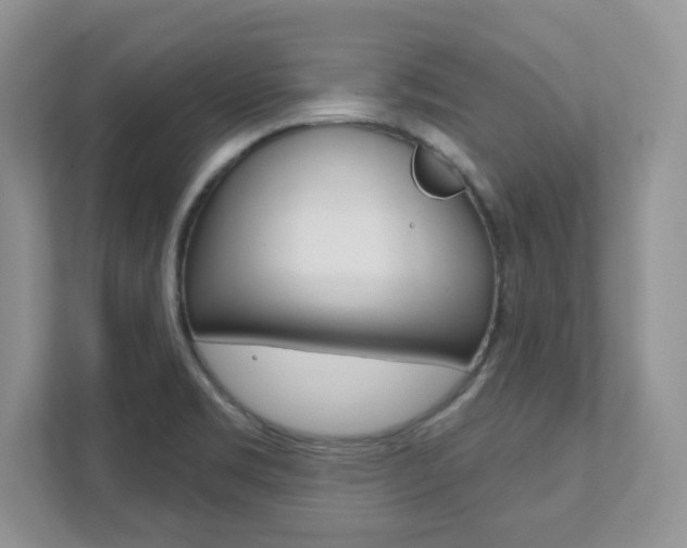 X0000111891469200907231437