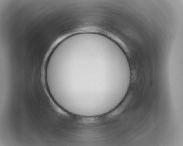 X0000111891470200907231437