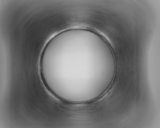 X0000111891471200907231437