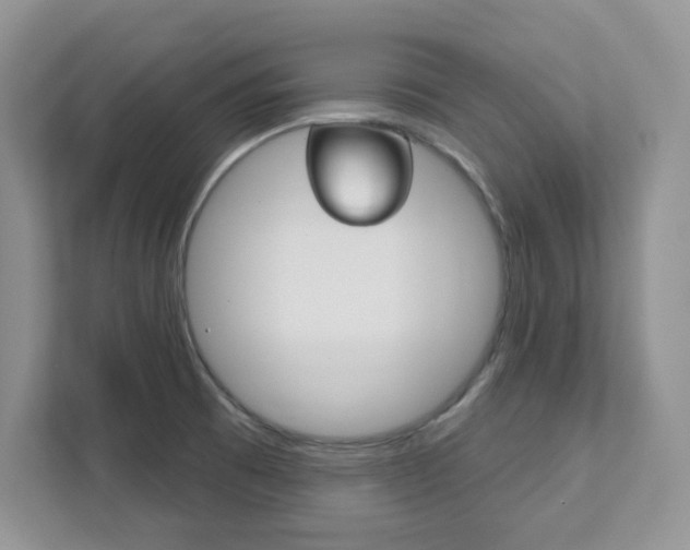 X0000111891473200907231437