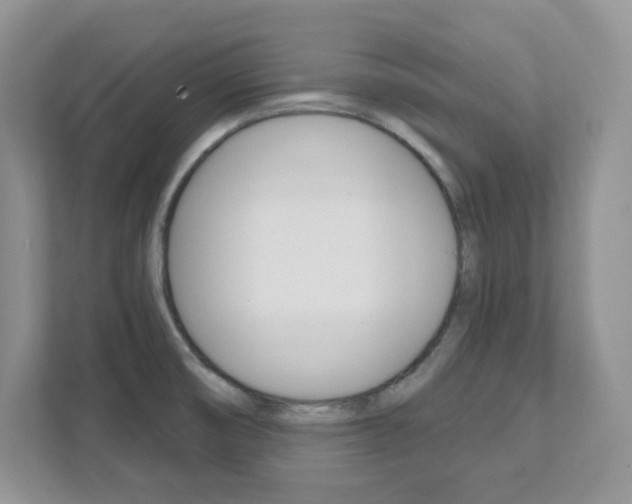 X0000111891474200907231437
