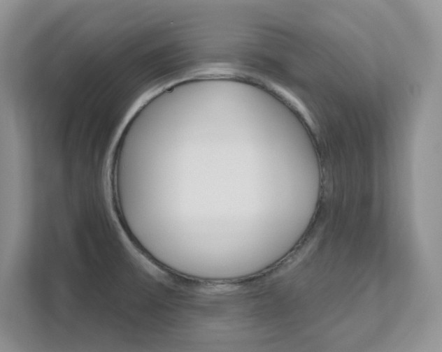 X0000111891475200907231437