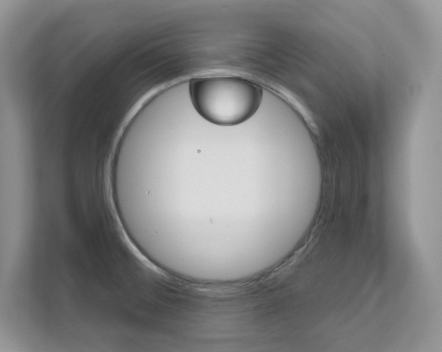 X0000111891476200907231437
