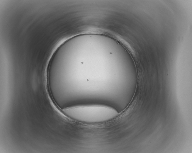 X0000111891479200907231437