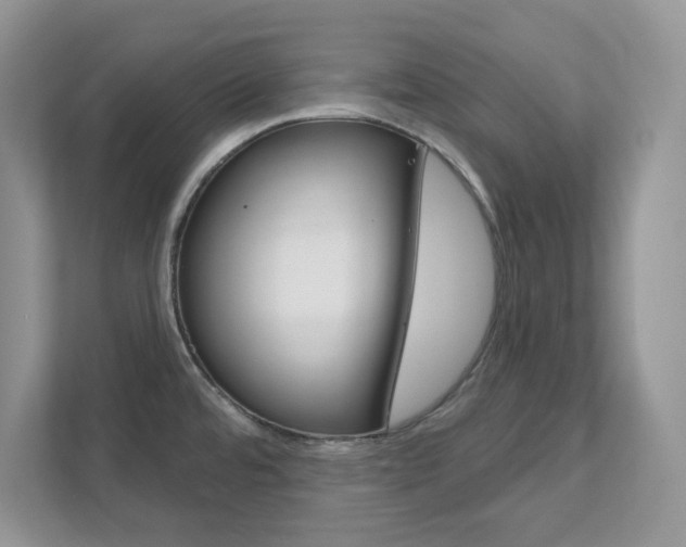 X0000111891480200907231437