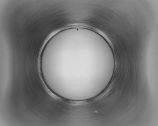 X0000111891482200907231437