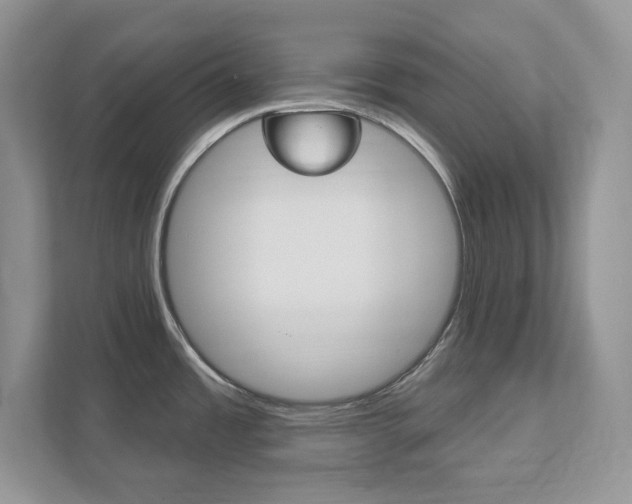 X0000111891485200907231437