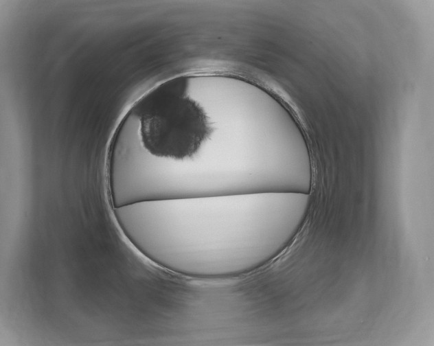 X0000111891487200907231437