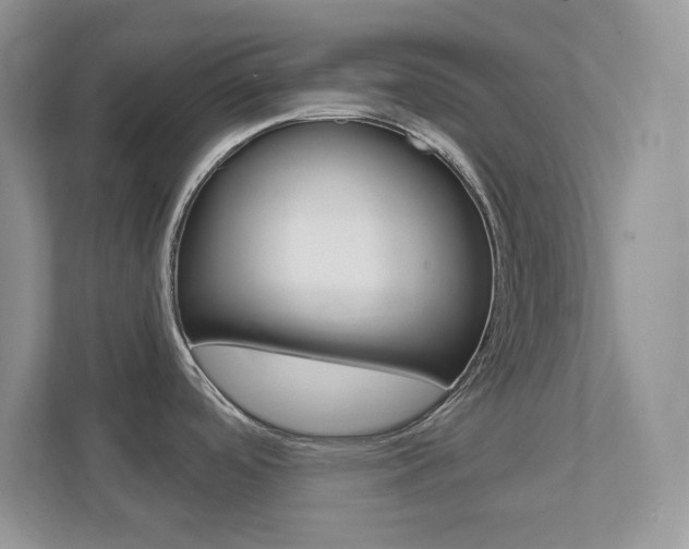 X0000111891488200907231437