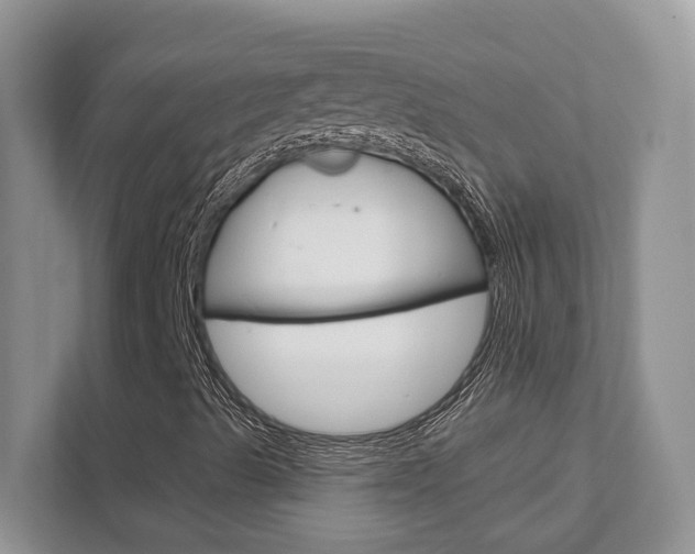 X0000111891489200907231436