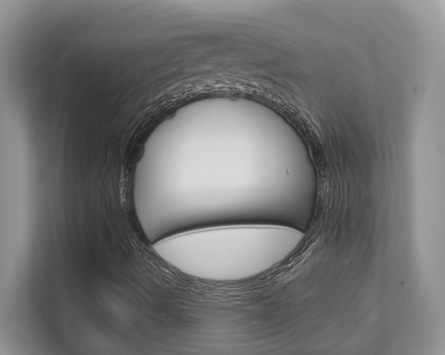 X0000111891490200907231436