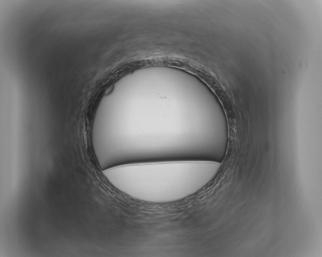 X0000111891493200907231436
