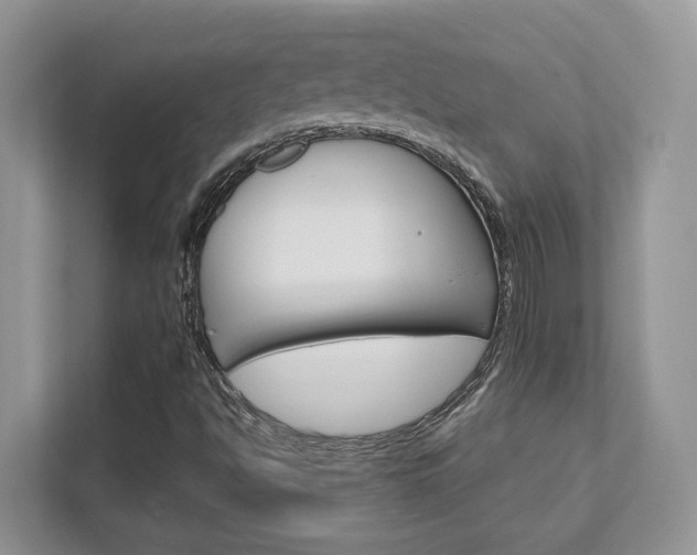 X0000111891494200907231436