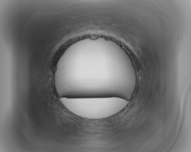 X0000111891495200907231436