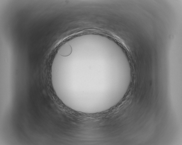 X0000111891496200907231436