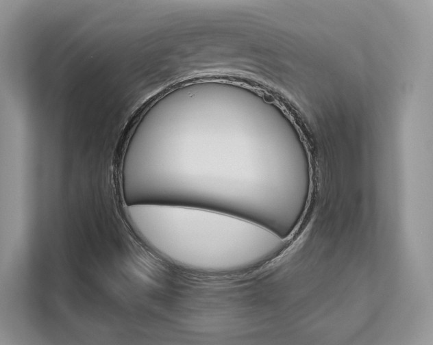 X0000111891497200907231436