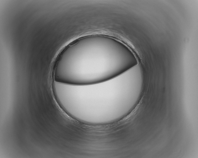 X0000111891500200907231437