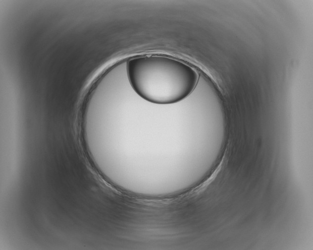 X0000111891502200907231437
