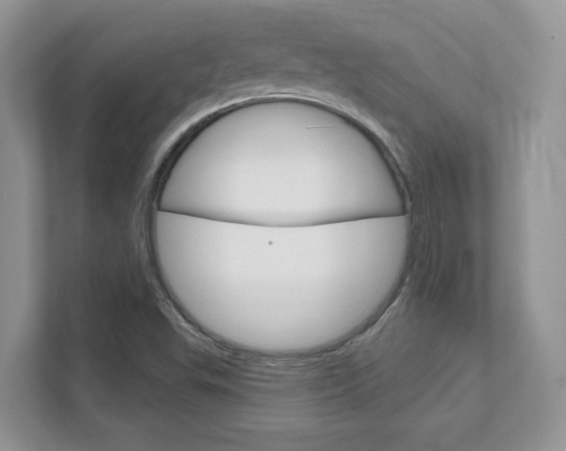 X0000111891503200907231437