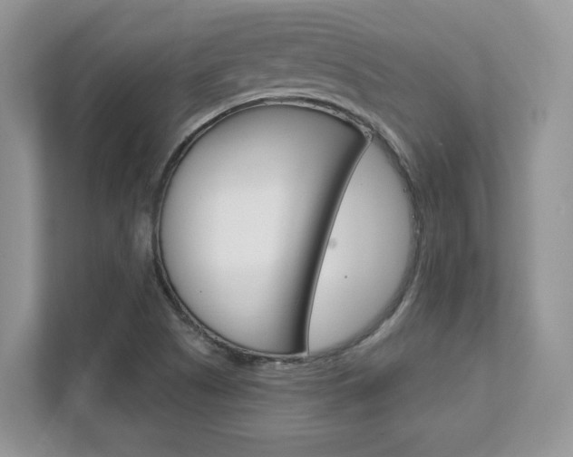 X0000111891505200907231437