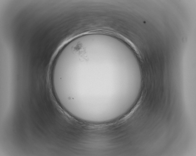 X0000111891506200907231437