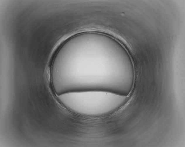 X0000111891509200907231437
