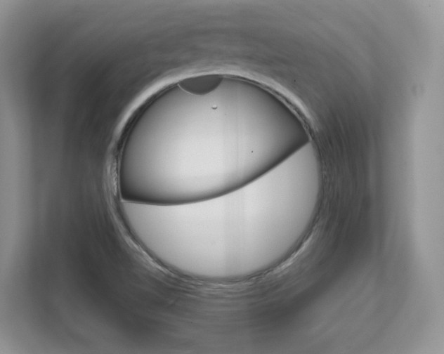 X0000111891510200907231437