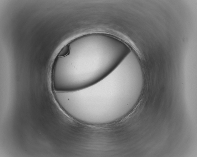 X0000111891512200907231437
