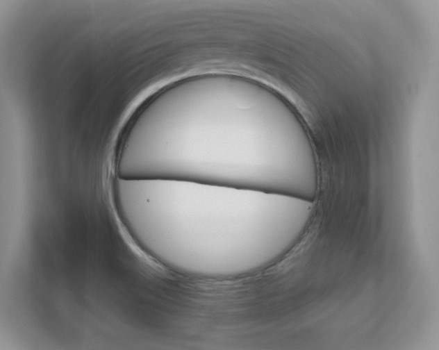 X0000111891515200907231437