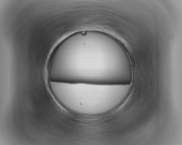 X0000111891517200907231437