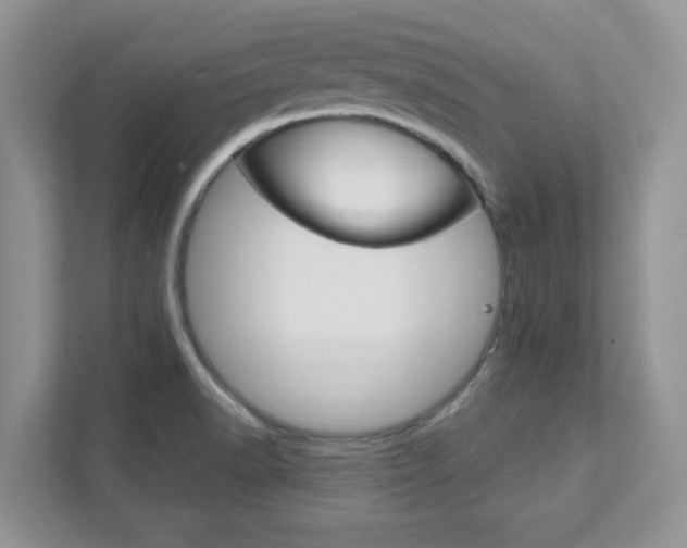 X0000111891518200907231437