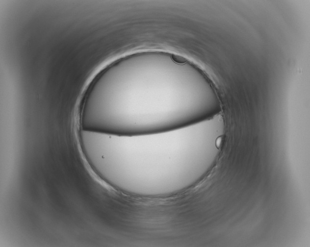 X0000111891519200907231437